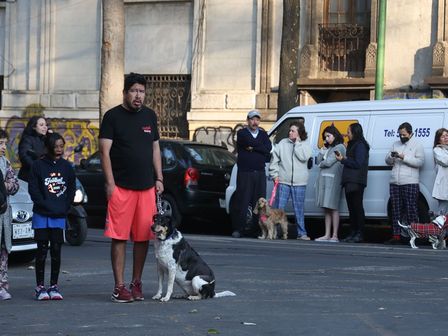 Durante un sismo, las mascotas también deben desalojar los inmuebles | Cuartoscuro