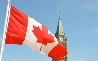 La vacante pide que el ebanista viaje a Canadá / Archivo.