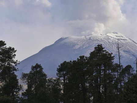 En algún lugar del bosque, el volcán Popocatépetl resalta su belleza nevada / Foto: Andrés Lobato