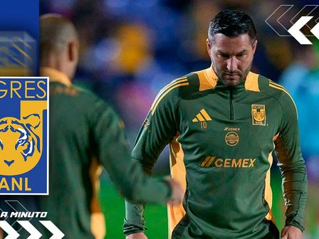 Los felinos se encuentran en un receso previo a vivir la pretemporada para la siguiente campaña  / @TigresOficial