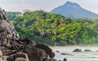 Playa Sayulita sí es apta para vacacionistas esta Semana Santa, afirma Cofepris