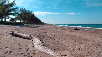 Villamar es una de las playas más concurridas de Tuxpan, Veracruz.