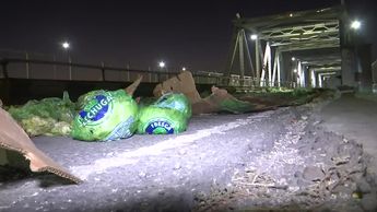 Inesperado. Lechugas en Puente Plateado provocan alerta en la vialidad; conductor habría huído