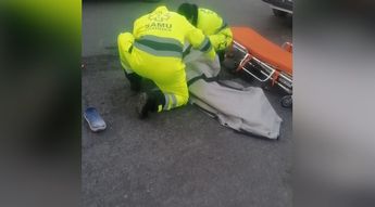 El peatón era perseguido por dos perros y en su desesperación por escapar de estos cruzó sin precaución.