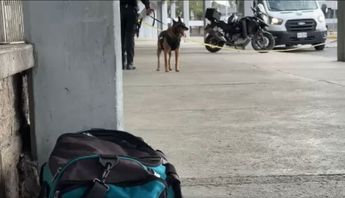 La Policía Estatal mantiene presencia constante en la Central de Autobuses. | Cortesía