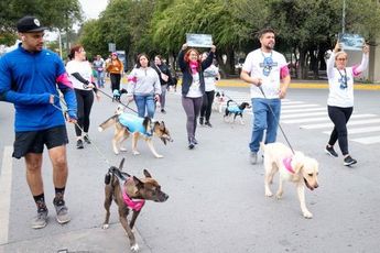 Caminata contra el maltrato animal en San Nicolás. | Cortesía