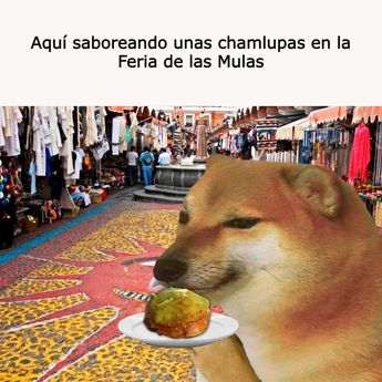 Cuando disfrutas tus chalupitas en la Feria de las Mulas / TELEDIARIO