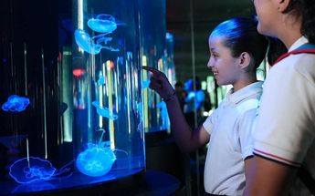 Acuario en Monterrey 2024 | Especial