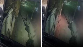 Revelan VIDEO en donde le prenden fuego a reconocido restaurante de mariscos en Torreón