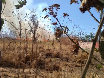 El cielo de Zapopan se vió opacado por los dos incendios de este martes. | Telediario Especial