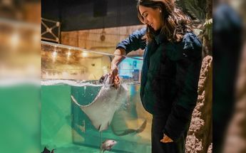 Acuario en Monterrey 2024 | Especial