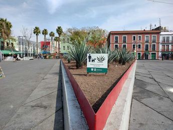 Plaza Garibaldi CdMx: un lugar atrapado en el tiempo / Kevin Talancón.
