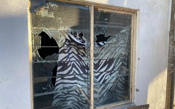 Denuncian daños en casas y autos por pandilleros en Monterrey