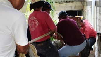 Paramédicos y bomberos del municipio de Fortín realizaron el rescate del adulto mayor | Isabel Zamudio