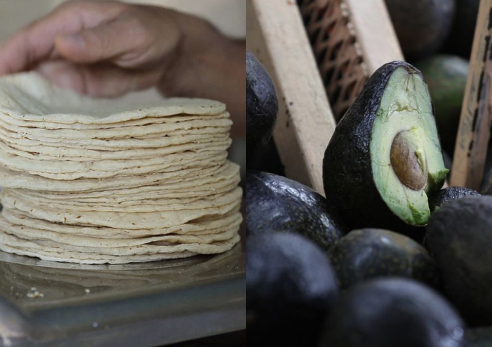 Tortilla y aguacate / Cortesía