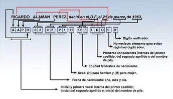 Así se desglosa la CURP/ Especial