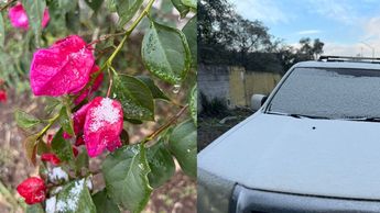 Muchos lugares del Área Metropolitana se pintaron de blanco.| Especial