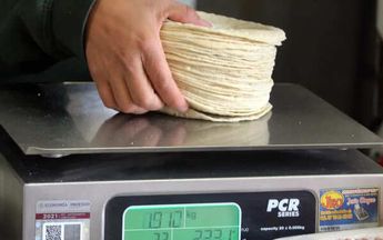 Alza de insumos subiría hasta 2 pesos el kilo de tortilla en CdMx: CNT