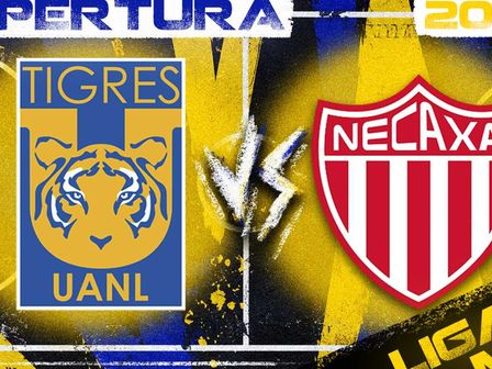 Necaxa no gana de visita ante Tigres desde hace casi 10 años / Especial