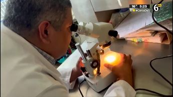 Hay 61 pruebas en laboratorio por dengue pendientes de confirmarse: Secretaria de Salud Oaxaca