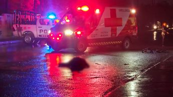 Las autoridades investigan la ubicación del responsable del atropello. | Martha Zamora