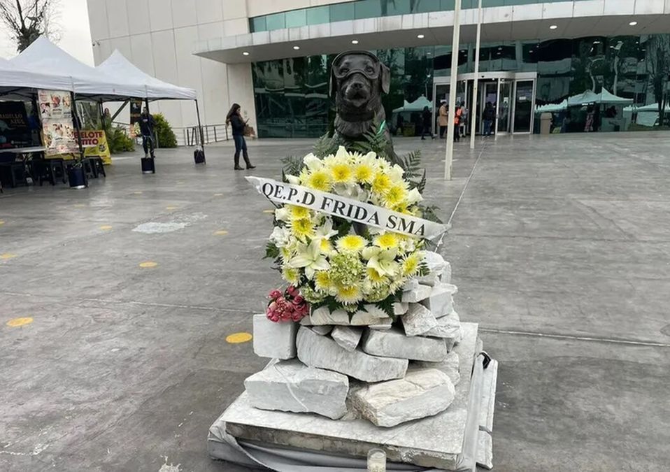 En Monterrey, homenajean con ofrenda a Frida, la perrita rescatista