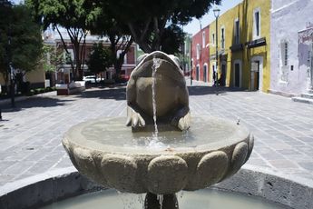 Los sapos que se aglutinaban en esta zona fue lo que le dio el nombre al lugar / EsImagen