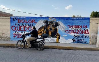 Pintan mural para Scooby en Edomex / Karla Guerrero.