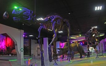 Réplica de un fósil de dinosaurio en el Museo de la Evolución Puebla | Melanie Torres