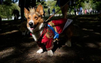 La reina recibió su primer corgi en 1944 a los 18 años / AP