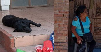 El ataque reavivó la preocupación por los perros callejeros en Saltillo.