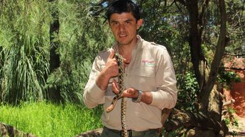 José Alfredo Hernández, curador de reptiles de Africam Safari | Melanie Torres
