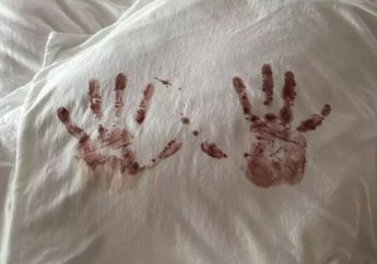 Camilo y los cuadros con la sangre de sus hijas