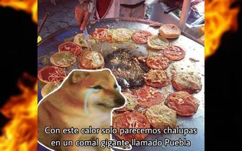 Cheems sabe que este calor infernal en Puebla es insoportable | Especial