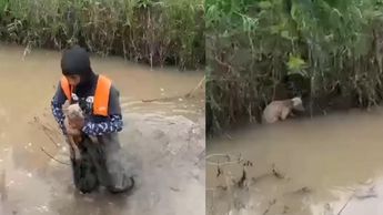 Personal del ayuntamiento de Tlajomulco de Zúñiga realizando protocolo de auxilio y rescate animal. | Ayuntamiento Tlajomulco de Zúñiga