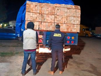Megaoperativo forestal logra decomisos históricos en Tingambato y Uruapan