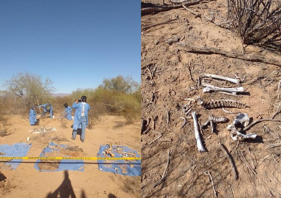 Las madres buscadoras encontraron una fosa con los restos de al menos 18 personas | Cortesía