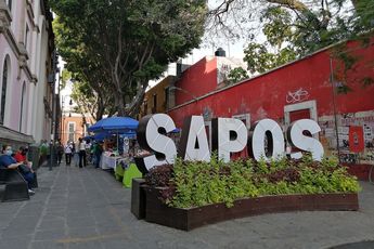 Las letras en la plazuela de Los Sapos están inspiradas en el nombre del callejón donde se venden antigüedades / EsImagen