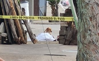 Perrito acompaña cuerpo de mujer asesinada / Juan Carlos Munguía