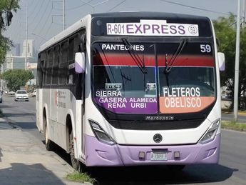 El camión de ruta fue impactado por detrás por el auto compacto. | Agustín Martínez