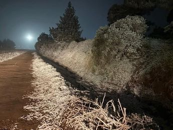 Caminos de Veracruz amanecen cubiertos de hielo / Isabel Zamudio