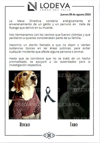 Mesa Directiva del fraccionamiento Lomas del Valle se pronunció contra envenenamiento masivo de mascotas / Leslie Mora