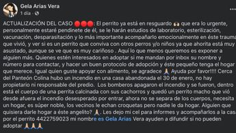 Actualizan el tema de la adopción, ya hay alguien a su cuidado.