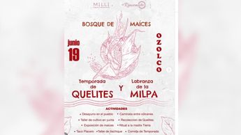 Esta travesía campestre en San Mateo Ozolco, Calpan, invita a las familias a dejar atrás el estrés urbano | Milli Cholula