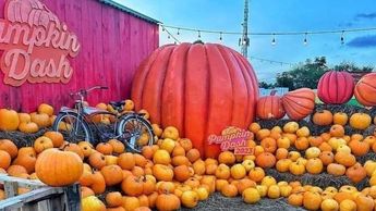 Pumpkin Dash en Monterrey | Especial
