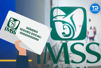 Qué hago si no recuerdo mi número del IMSS/ Especial