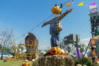 Espanta pájaros y otros aditamentos forman parte de la escenografía en este festival / Agencia Es Imagen