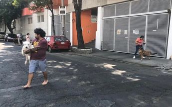 Sismo de 4.8 se registra en Acapulco, Guerrero; activan alerta en CdMx