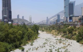 Desmonte en río Santa Catarina afectará a cientos de especies. | Raúl Palacios