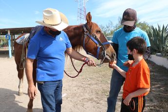 Los caballos funcionan en la terapia motriz y en tratamientos especiales. / Leonel Rocha